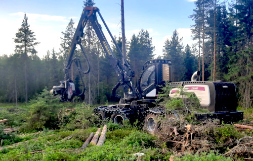 Koneellinen puunkorjaus, metsäkuljetus Sipola, Oulu